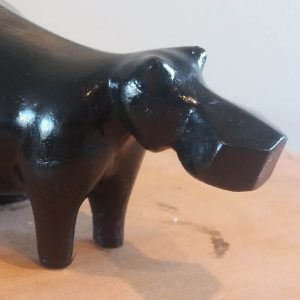 16 - HIPPO